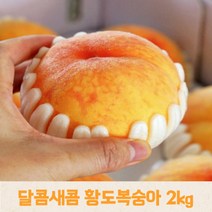 [국내산] 황도복숭아 2kg 복숭아 대극천 대월 딱복 황도 신비 백도 딱딱이 말랑이 천도 여름복숭아 여름과일 제철과일, 황도복숭아2kg