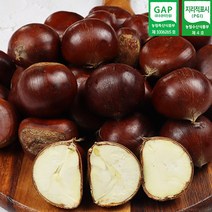 2022년 공주 정안 옥광밤 2kg 4kg (중 대 특) 햇밤 공주밤 정안밤 산지직송 GAP인증, 공주 옥광밤 특 4kg