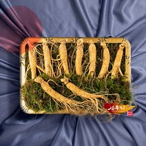 [삼우리]6년근 인삼(수삼)500g / 8-10뿌리