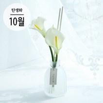 10월 탄생화 디퓨저 카라 세트 500ml 고급스러운 천연디퓨저 꽃집향기 인테리어 집들이 생일선물, 라임바질