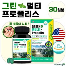 프리미엄 브라질 그린 프로폴리스 츄어블 60캡슐 1개월분 . 여성 남성 수험생 직장인 주부 중년 노인 부모님 강사 목 사용이 많은 직업 선생님 환절기 구취 구강 항균, 2통