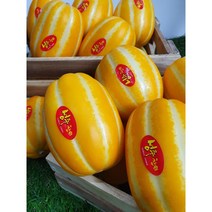 산지직송 달콤 성주 꿀 참외 가정용 2kg/4kg 선물형 박스 개별포장 안전 배송!!, 가정용혼합2kg