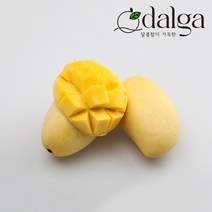 달가 직수입 카라바오 생망고 1kg~3kg, 카라바오 망고 S 6과 1.25kg내외, 1개