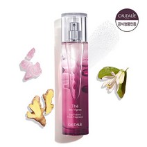 [리뉴얼/머스크향] 테 드 비뉴 향수 50ml