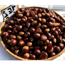 햇밤 부여 유기농 햇알밤 옥광밤 1kg(대) 밤삶는법 밤까기 부여옥광밤 유기농생률밤, 상세페이지 참조, 상세페이지 참조