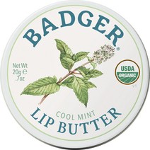 뱃저 립 버터 20g, 1개, Cool Mint