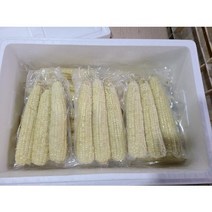 쫀득 쫀득 찰지고 맛있는 강원도찰옥수수 미백2호 영월 냉동찰옥수수 판매중!(명절연휴로 배송마감), 10팩30송이