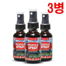 캐나다 프로폴리스 스프레이 30ml * 3병 (구강 향균작용 항산화에 도움), 3개