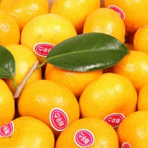 [대진작목반] 제주 비가림 감귤 5kg 9kg, 9kg(3L-4L 대과)