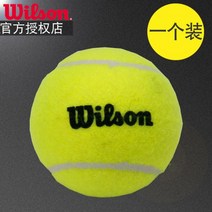wilson 테니스공 윌슨 트레이너 윌슨테니스공 무압구 주니어볼 트레이닝 ITF 챔피언쉽 엑스트라, 07