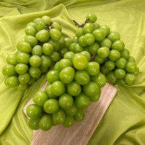 가정용 샤인머스켓 샤인머스캣 직송 1kg 2kg, 1kg (2-4수)