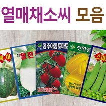 살아있는 씨앗 모음 열매씨앗 여주 우엉 박 토마토 참외 수박 오이 호박 가지 옥수수 깨 콩 팥 수수 밀 배추 양배추 열무 알타리 당근 무 비트 콜라비 고추 파프리카 종자, K-청농흰강낭콩 x 1개, 1개