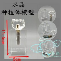 대학 스케일링 교보재 입모형 덴티폼 개원 수업용 임플란트 치아모형 학원 고급형 잇몸 틀니, 4배크리스탈 임플란트(2019)