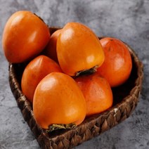 [남도장터] 푸르름 금정 대봉감 대과 4.5kg (16-18과), 상세 설명 참조