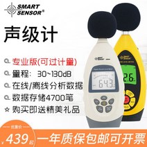 소음 측정기 테스트 데시벨 미터 고정밀 전문가용, AR844 프로페셔널 에디션