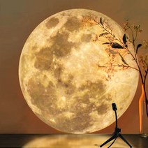 대형 달 무드등 지구 빔 프로젝터 캠핑 조명 미니 우주 보름달 조명, 대형 달 무드등 (2번 삼각대 usb용)