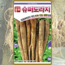 슈퍼도라지(6g) 도라지씨앗종자