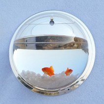 ZZJJC 벽걸이 물양 녹라 화분 벽 장식 그릇 벽면걸이 아이디어 입체 홈 거실 벽 장식, 미러 23cm 돌+식물 보내기