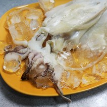 [KT알파쇼핑][바다의행복] 국내산 여수 반건조 갑오징어(대) x 2팩