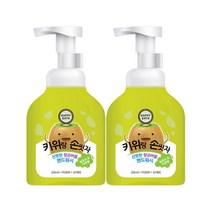 해피바스 키위랑 손씻자 버블 핸드워시 250ml 2개