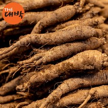 6년근 더덕 1kg 강원도 정선 산더덕, 산더덕(가정용) 1kg