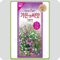 로벨리아 씨앗 허브 꽃 야생화 100립 네델란드 수입종