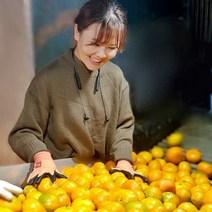 훈이네농장 제주 햇 노지 감귤 10kg 불만족시 무료반품, 제주 감귤 10kg 소과(2S과)