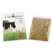 식물 키우기 쉬운 고양이풀 캣닢 씨앗 집들이선물 화분 거실 센스있는 키트 인테리어 반려