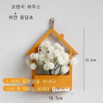 [경선 추천] 벽면 장식 벽장식 액세서리 화분 방 장식 벽장식 풍 창의 침실 벽장식 빨간색 액세서리 조합 세트