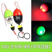 전자 구멍찌세트 면사부터 도래까지 릴낚시 반유동 채비 바다낚시 채비, 0.5, green