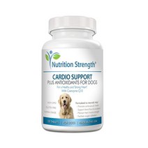 강아지 심장보충제 120츄 심장건강보조 영양 대용량 Nutrition Strength