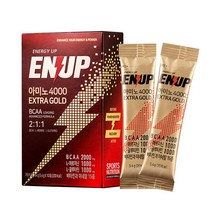 엔업 아미노 4000 엑스트라 골드 BCAA 2000mg