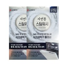 자연퐁 스팀워시 식기세척기 클리너 100g, 2개