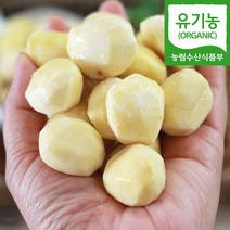 (자연마을) 공주 정안 유기농 깐밤 산지직송 500g 1kg, 500g 1팩