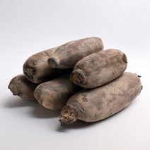 [서안동농협] 신선한 아삭아삭 흙 연근 알뜰 5kg