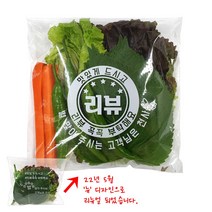 팩피아 리뷰 봉투 200x220+40 (2000장)