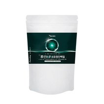 영양Pick 대용량 에너데이 류신 WPH 유청단백질 560g opti6831
