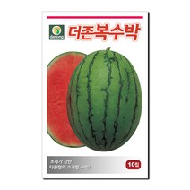 다농 더존복수박 씨앗 10립, 1개