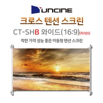 윤씨네 크로스텐션 16.9 와이드 60인치 빔스크린, 16.9 크로스텐션 60인치 CT-SH60B