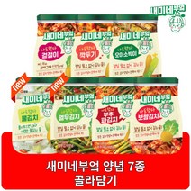 새미네부엌 김치양념 겉절이 오이소박이 깍두기 보쌈김치 신제품 열무김치 물김치 7종, 12개, 열무김치양념 240g