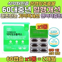 60대 중장년층 기억력 혈행 개선 은행잎 징코 영양제 50대 부모님 건조한 뻑뻑한 눈 혈중중성지지질 유해산소 세포보호 아연 비타밈 엽산 뼈건강 면역력 증진 어머니 아버지 보조제