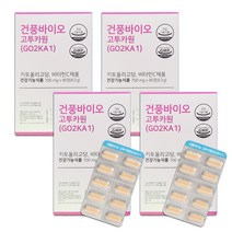 건풍바이오 고투카원(GO2KA1) 키토올리고당 혈당케어, 4박스