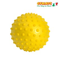 짐닉 센시볼 20cm 노랑 /돌기가있는 마사지볼 미니볼, 선택완료