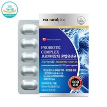 락토바실러스플란타럼 락토바실러스 가세리 바이크로바이옴 모유유래 플란타룸 유산균 프로바이오틱스 분말 가루 알약 정 캡슐 식약처 식약청 인증, 3박스(6개월분), 3개