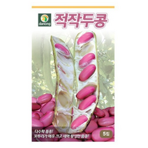 적작두콩 씨앗 30립 OK, 4개