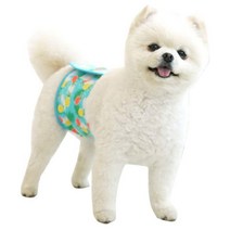 우리펫 포메용 실수방지매너벨트 S 마운팅 강아지짝짓기인형 강아지욕구인형 마운팅인형 펫모닝장난감