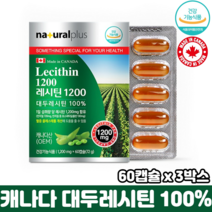 캐나다 레시틴 식물성 인지질 식약처인증 순수 대두레시틴 100% 혈중 콜레스테롤 개선, 3박스, 60캡슐