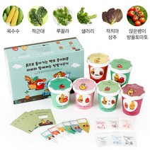관찰용 식물키우기 강낭콩키우기 상추키우기 방울토마토키우기 6종 재배키트 재배세트, 꽃동산만들기