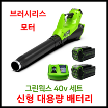 그린웍스 40v 신형엑시얼 충전 블로워 낙엽청소기 충전식 브로워 전동 송풍기 제설기 5Ah 2팩