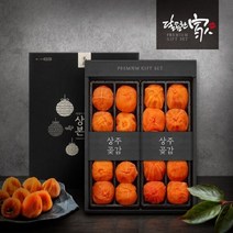 (롯데백화점)(달콤한가)상주본감 실속세트(반건시 800g 24과) 상주곶감